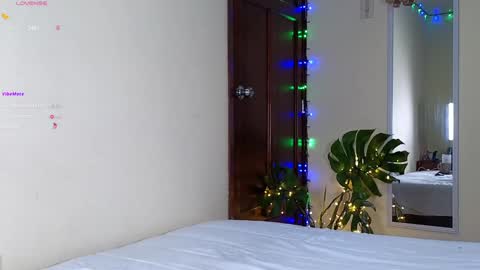 2cbutterfly online show from 18, 1, 2025