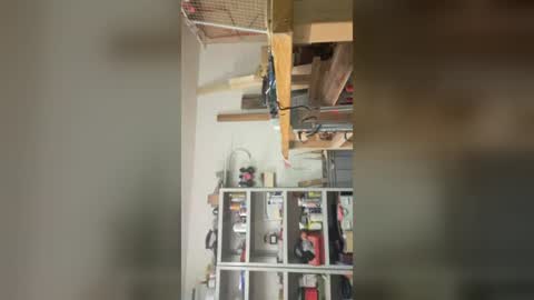 69x69e69s69 online show from 18, 6, 2026