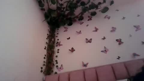 abby_moss_2 online show from 12, 6, 2026