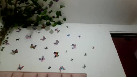 abby_moss_2 online show from 20, 6, 2026