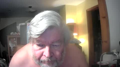 bear online show from 17, 6, 2026