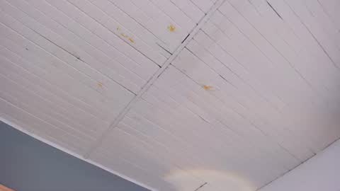 bellaboobs_ online show from 18, 6, 2026