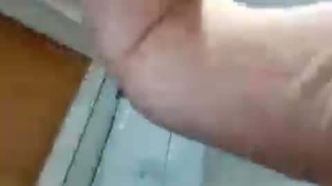 biggllh online show from 4, 7, 2026