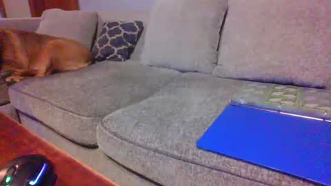 blaw_1321 online show from 21, 6, 2026