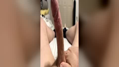 bmcluving online show from 21, 6, 2026
