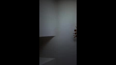 boris96213 online show from 4, 6, 2026