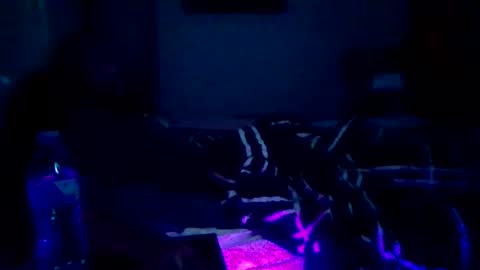 GuitarBrad1989 online show from 10, 6, 2026