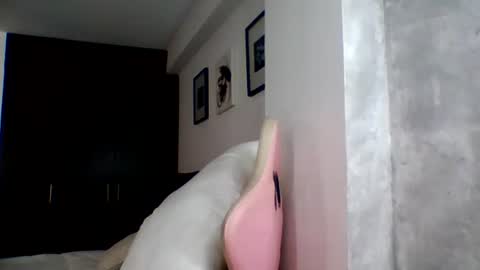 camilagomez_ch online show from 23, 6, 2026