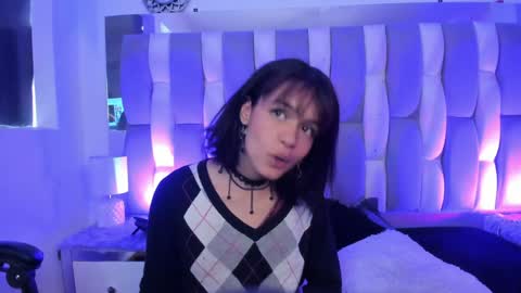 Cat  online show from 12, 12, 2024