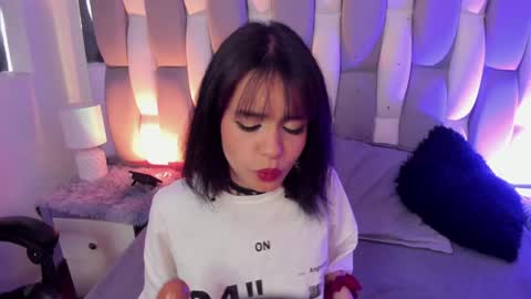 Cat  online show from 20, 12, 2024