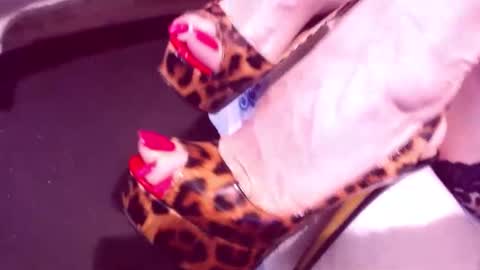 Snapshot of cerisedodd chatting on 4, 6, 2026 Cerise online show from 4, 6, 2026