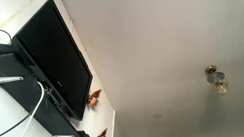 Snapshot of chanelfancy chatting on 26, 4, 2026 chanelfancy online show from 26, 4, 2026
