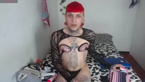 Ale punky online show from 19, 6, 2026