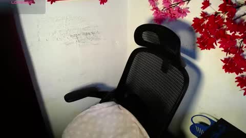 chleo_rosse online show from 5, 6, 2026