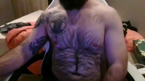 chub bear 99 online show from 4, 6, 2026