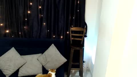 Sofi online show from 10, 6, 2026