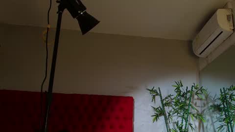 Cris  online show from 21, 6, 2026