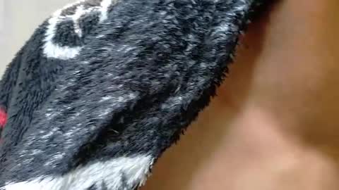 Damian Vadim online show from 30, 5, 2026