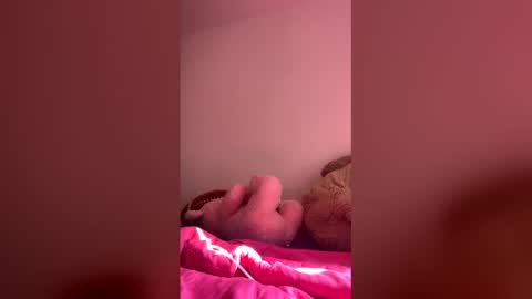 DANIELA online show from 1, 6, 2026