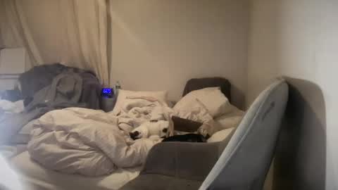 daniellealexa online show from 27, 6, 2026