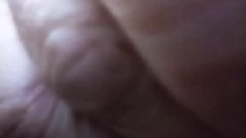 dannowisc online show from 27, 6, 2026