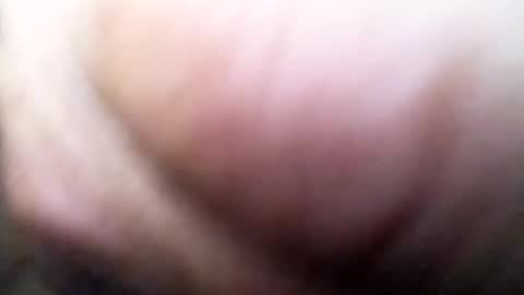 dannowisc online show from 5, 7, 2026