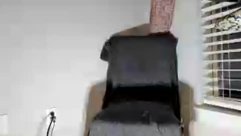 Dextercollins online show from 27, 6, 2026