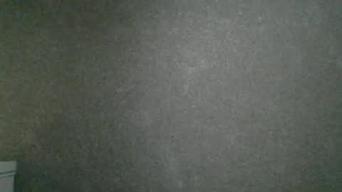 dimasvit5306 online show from 13, 6, 2026