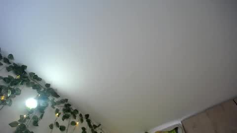 dominic_sofia online show from 18, 6, 2026