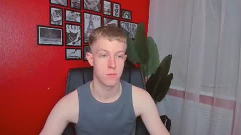 Dylan online show from 17, 6, 2026