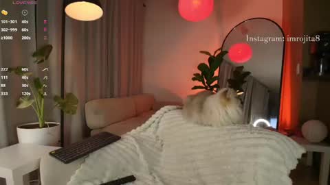 IG imrojita8 online show from 25, 6, 2026