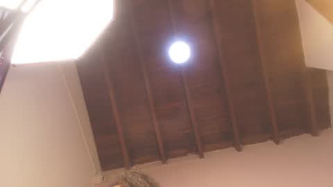 DAYANITA online show from 10, 6, 2026