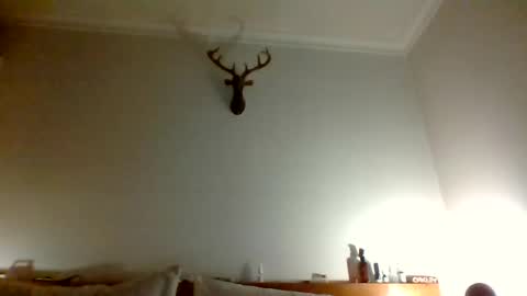 Snapshot of felipesmg2 chatting on 11, 6, 2026 felipesmg2 online show from 11, 6, 2026