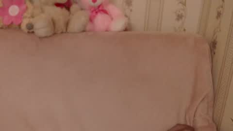 say meow and send tip  online show from 11, 6, 2026
