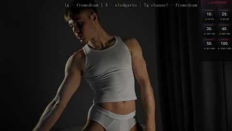 Snapshot of fromedcam chatting on 26, 3, 2026 ED online show from 26, 3, 2026