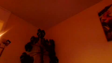 funn333222 online show from 17, 6, 2026