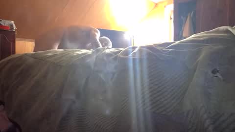 Snapshot of fwbowling chatting on 23, 2, 2026 77daddy online show from 23, 2, 2026