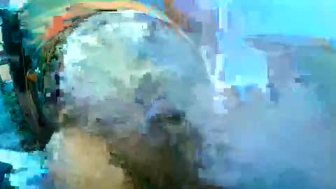 gjustaguym online show from 14, 5, 2026