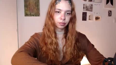Alaska online show from 29, 5, 2026