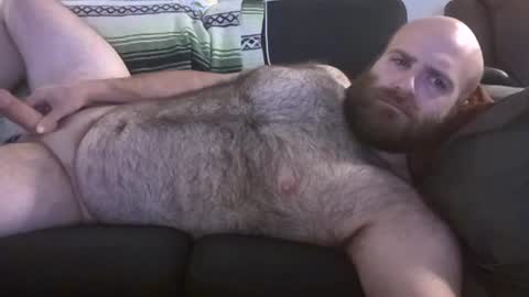 Hairiest Bear online show from 27, 6, 2026