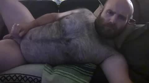 Hairiest Bear online show from 28, 6, 2026
