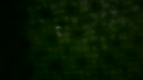 hastra hot online show from 31, 5, 2026