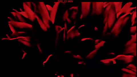 Sasha online show from 21, 6, 2026