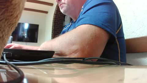 hofnung online show from 3, 7, 2026