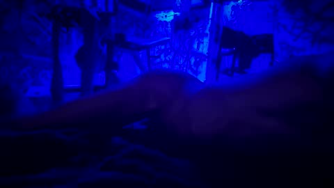 Snapshot of howbowdadareboy33 chatting on 11, 6, 2026 ask me online show from 11, 6, 2026