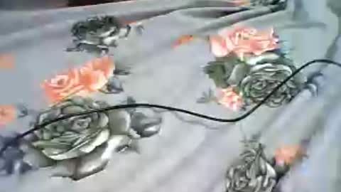 inejhtin online show from 24, 6, 2026