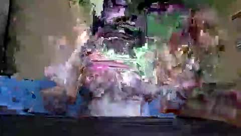 Inez online show from 6, 6, 2026