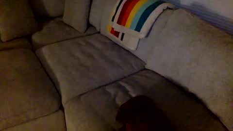 Snapshot of janicepepper chatting on 21, 5, 2026 janicepepper online show from 21, 5, 2026