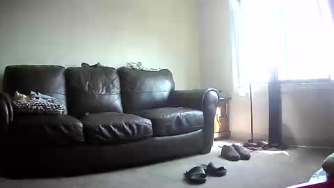John online show from 8, 6, 2026