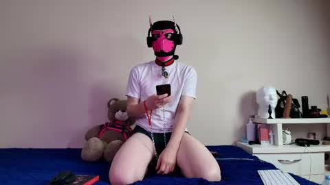 Alex online show from 15, 6, 2026
